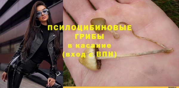 PSILOCYBIN Наволоки