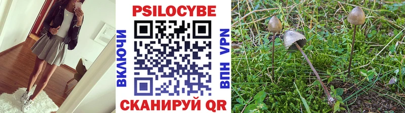 Галлюциногенные грибы Cubensis Яблоновский
