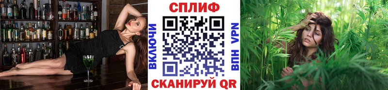 Бошки Шишки план  хочу   Яблоновский 